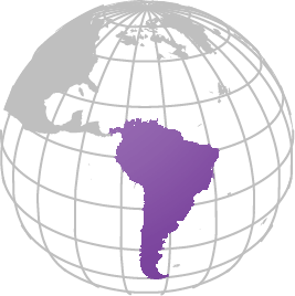 Cross Border Investment-Latin America